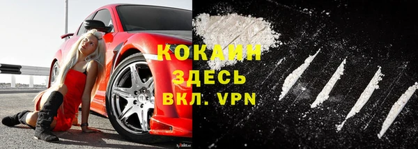 хмурый Нея
